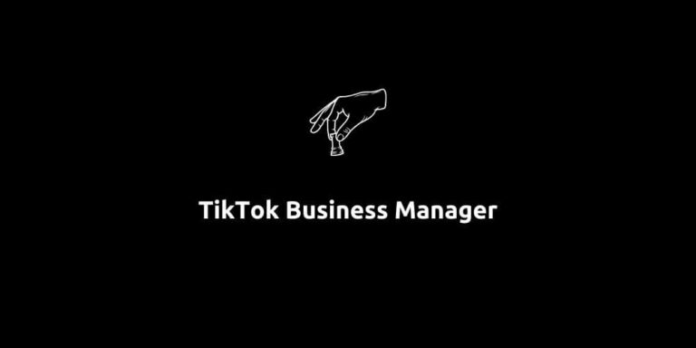 TikTok Business Manager
